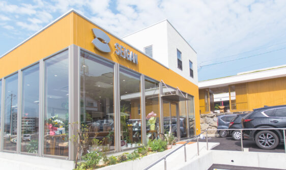 メガネのSEIGAN｜SOSOチラシ設置店紹介