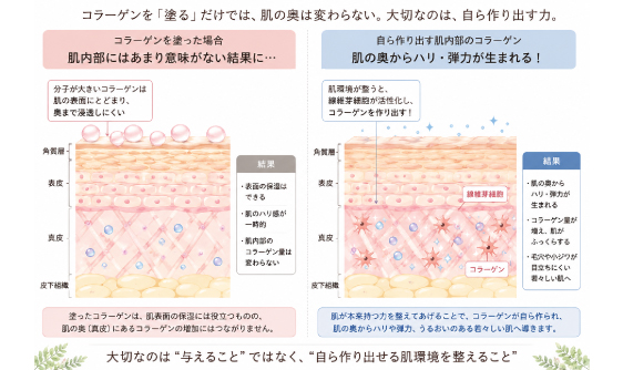 塗った場合のコラーゲンと、自ら作り出す肌の中のコラーゲンの状態をイラストで現した画像です。