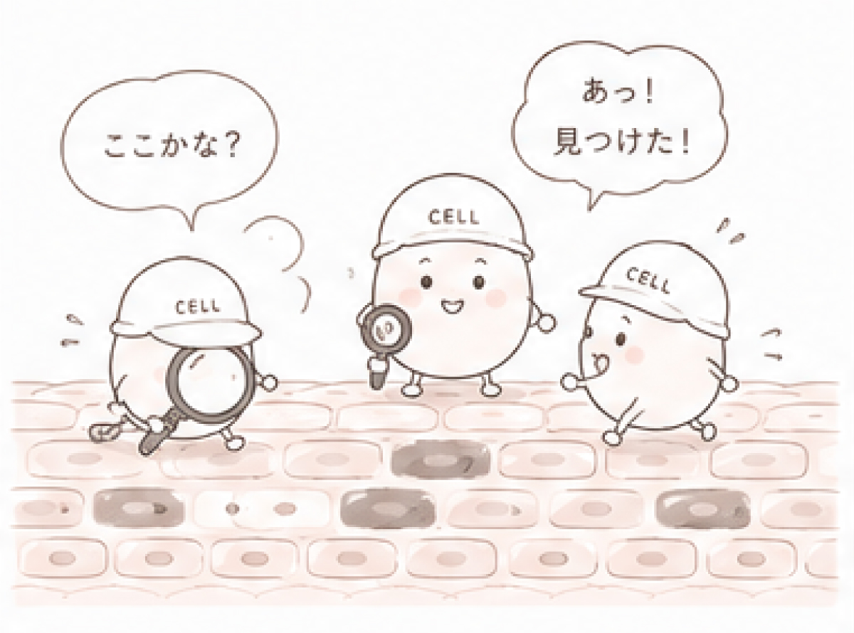 SOSOの施術後の変化2
